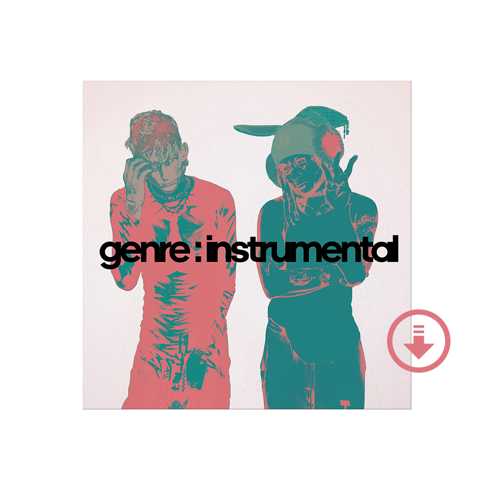 genre : instrumental