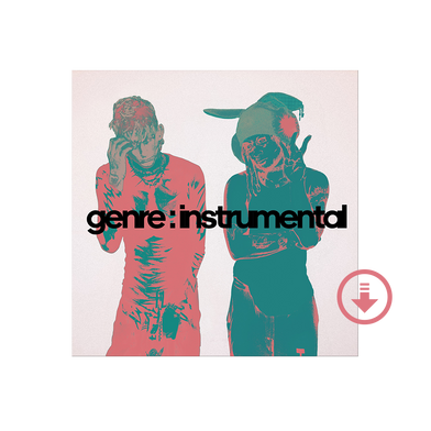 genre : instrumental